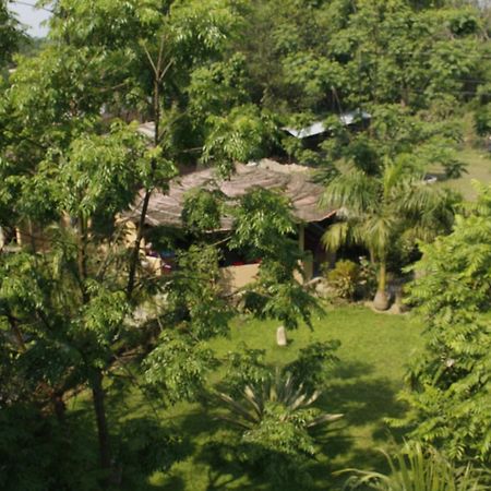 Chitwan Safari Camp & Lodge Саураха Екстериор снимка