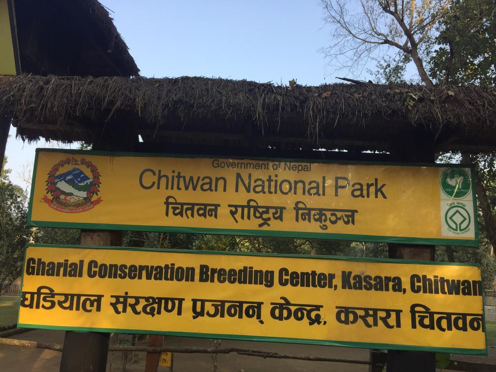 Chitwan Safari Camp & Lodge Саураха Екстериор снимка