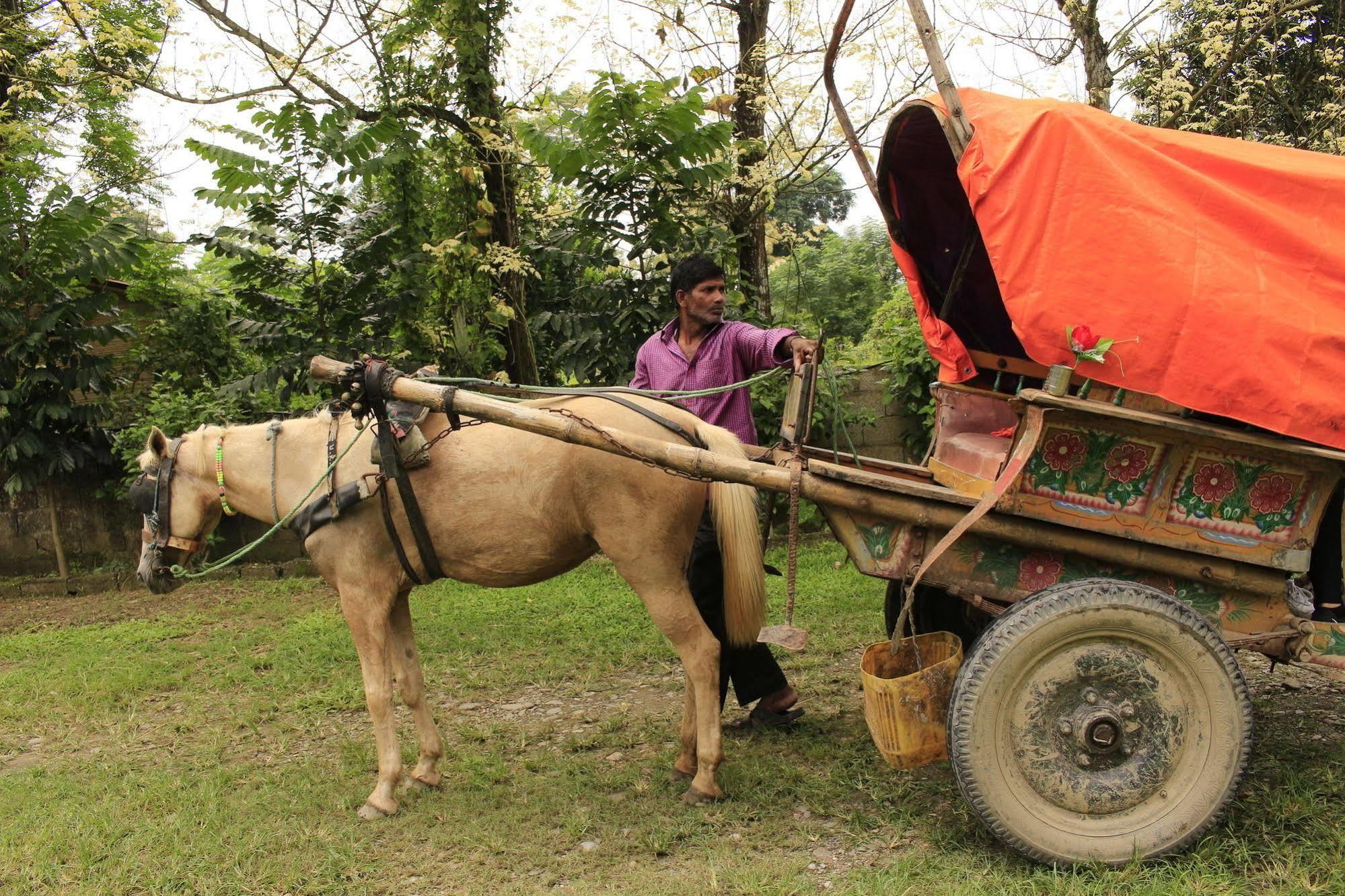 Chitwan Safari Camp & Lodge Саураха Екстериор снимка