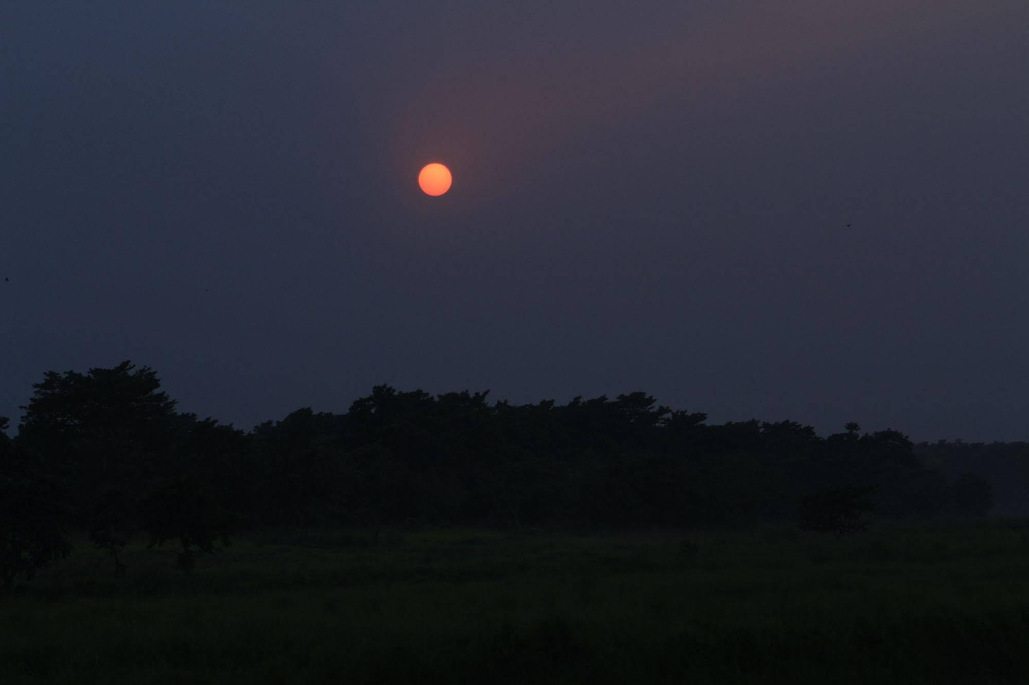 Chitwan Safari Camp & Lodge Саураха Екстериор снимка