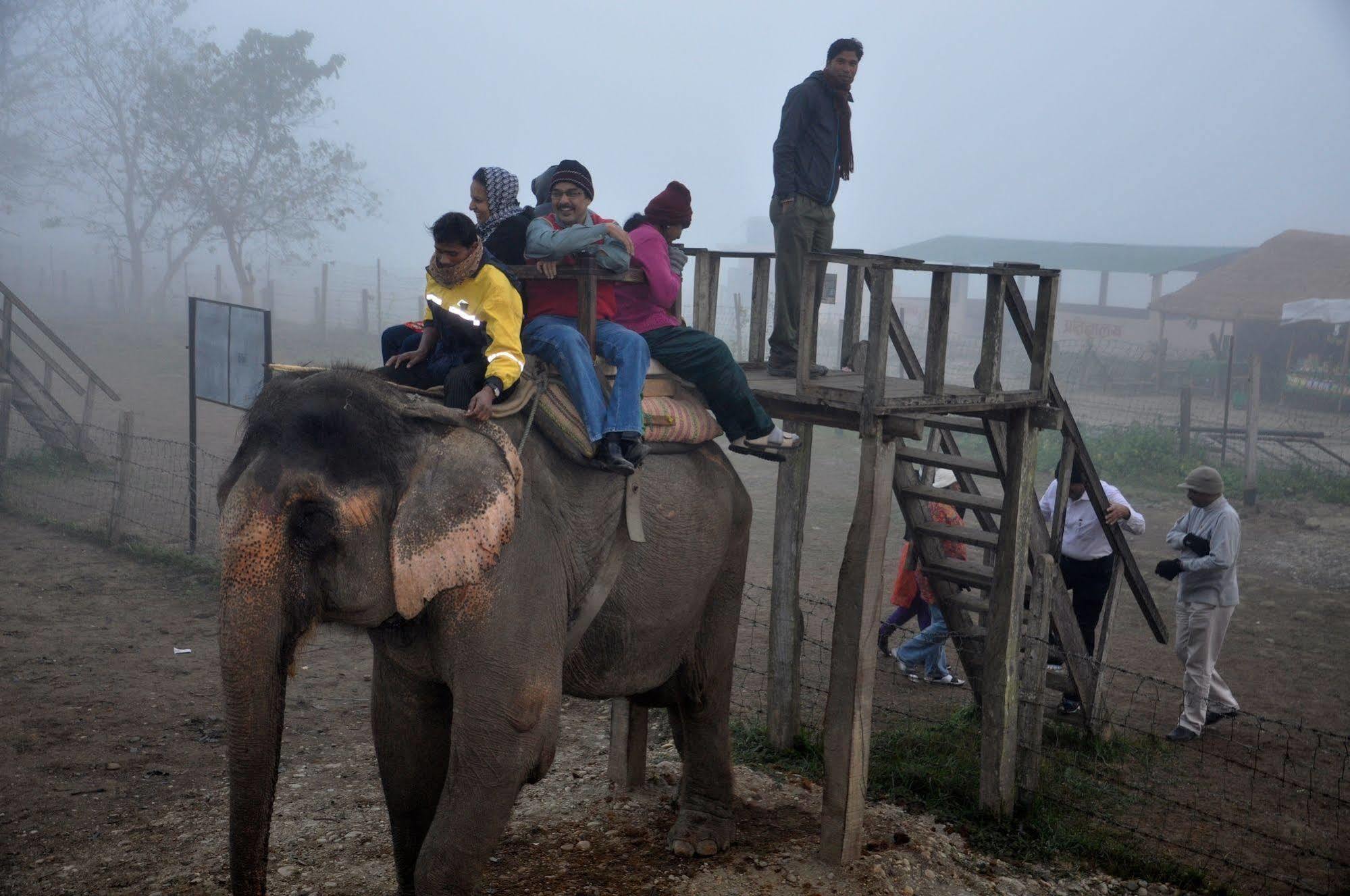 Chitwan Safari Camp & Lodge Саураха Екстериор снимка